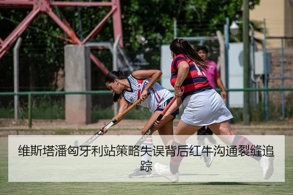 维斯塔潘匈牙利站策略失误背后红牛沟通裂缝追踪